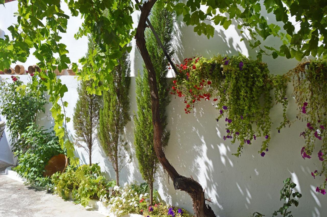 Gasthaus La Vieja Parra La Puerta de Segura Exterior foto